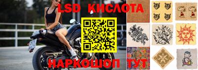 прущие грибы Тара