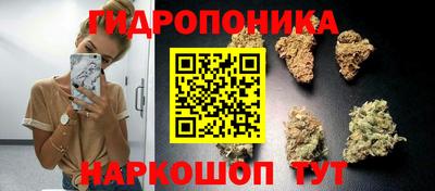 дурь Татарск