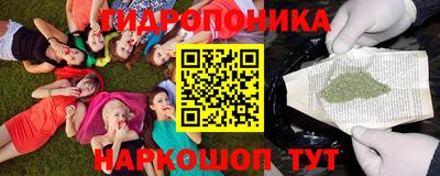 прущие грибы Тара