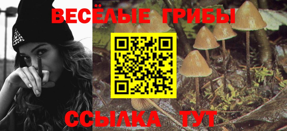 Псилоцибиновые грибы Cubensis  Вход с VPN  Новочеркасск  Псилоцибиновые грибы Psilocybine cubensis 
